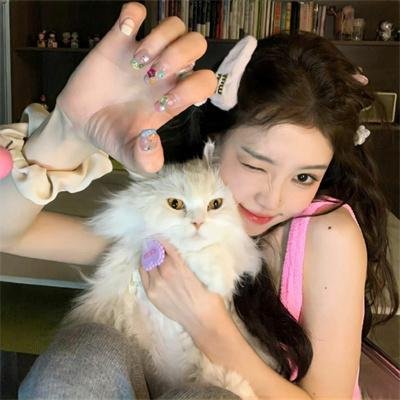 蔷薇处处香
